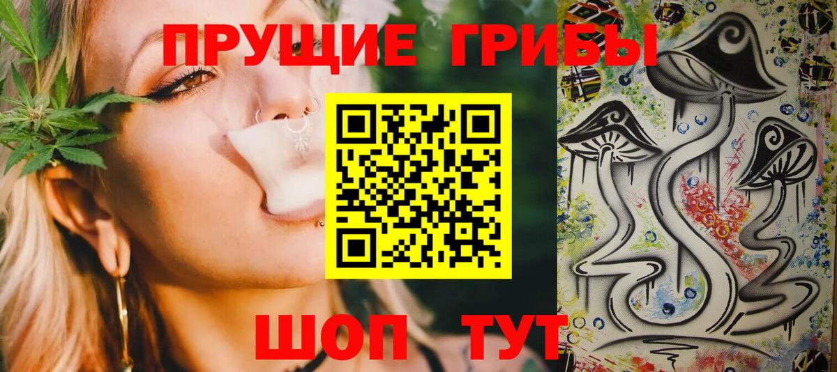 Энгельс  как найти закладки  Вход с VPN  Галлюциногенные грибы Psilocybe  Галлюциногенные грибы Psilocybe 
