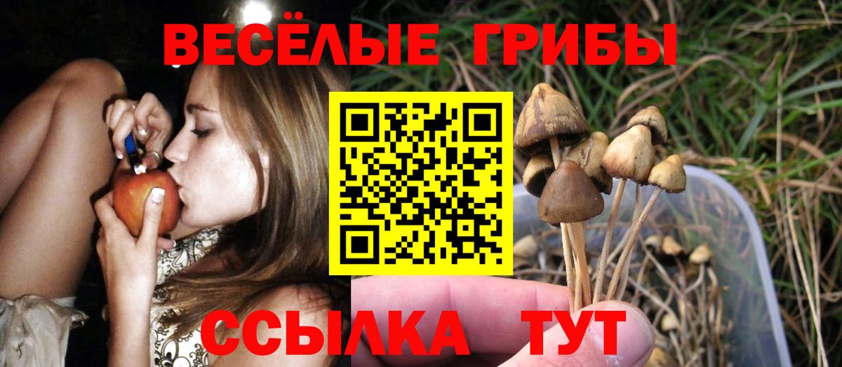 Псилоцибиновые грибы Magic Shrooms Энгельс